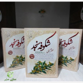 عطر طبیعی شکوفه سنجد