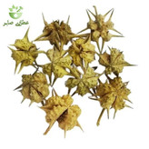 گیاه خارخاسک - 75 گرمی