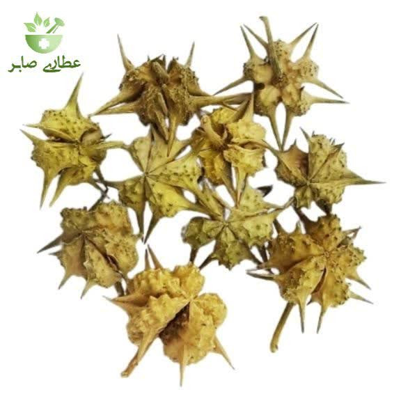 گیاه خارخاسک - 75 گرمی