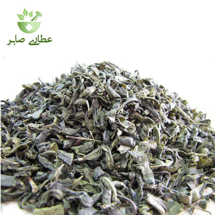 چای سبز با کیفیت عالی - بسته 100 گرمی